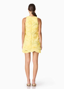 Elliatt asher mini dress