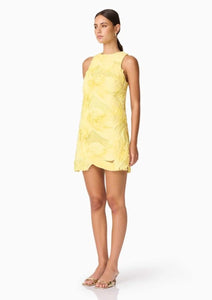 Elliatt asher mini dress