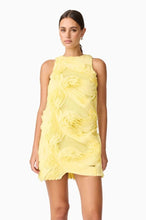 Load image into Gallery viewer, Elliatt asher mini dress