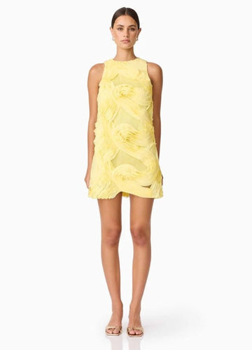 Elliatt asher mini dress
